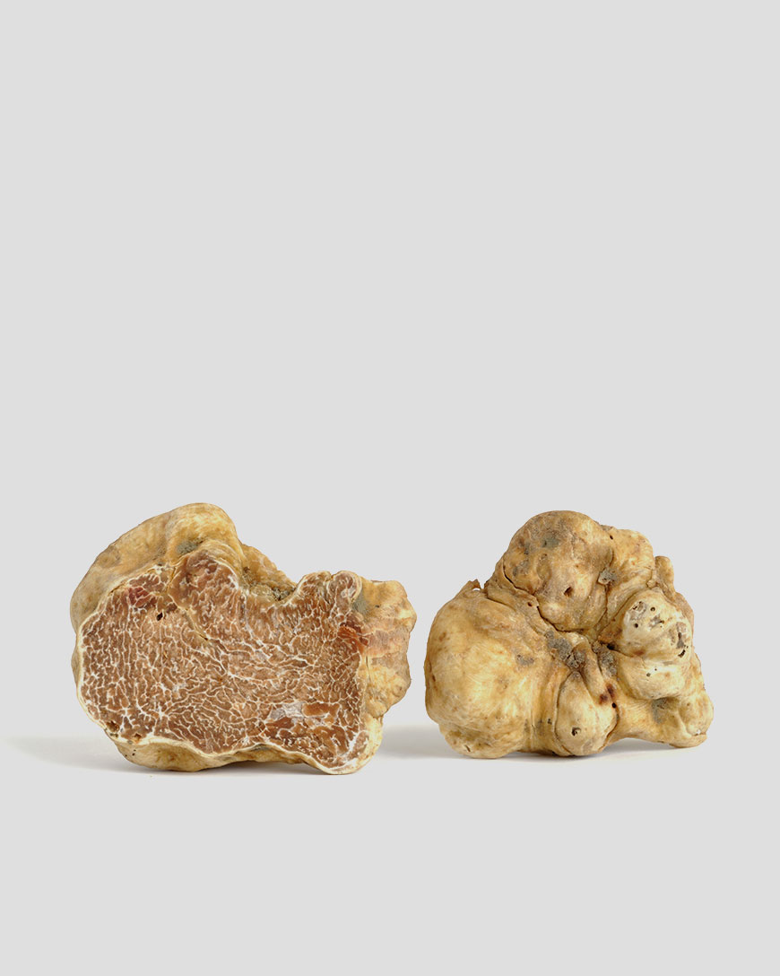 White Truffle (Magnatum Pico)