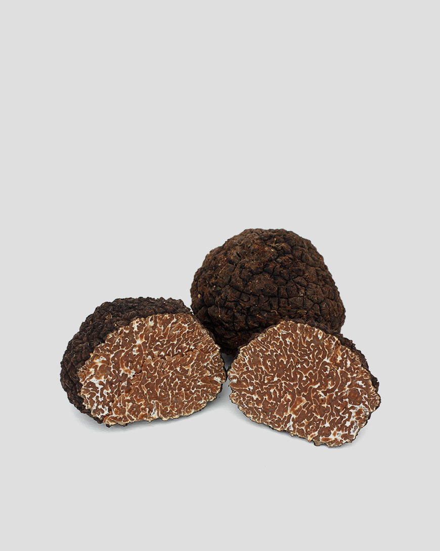 Black Autumn Truffle (Uncinatum)